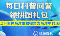 以下哪种海洋生物被誉为海洋中的活化石