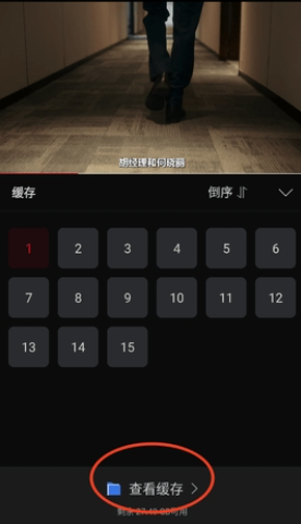 心雨影评免费追剧