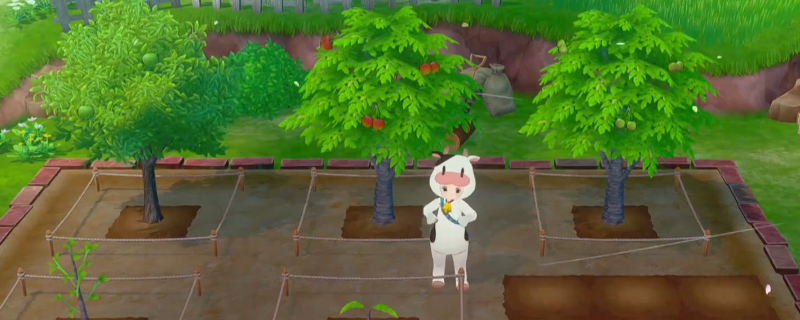 《牧场物语 来吧！风之繁华集市》果树种植教学分享