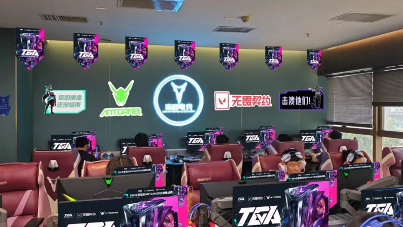 燃动西安！2025TGA无畏契约Antgamer全国挑战赛独立赛道——巅峰电竞(图4)