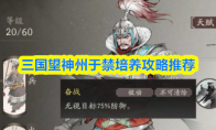 三国望神州于禁培养攻略推荐