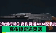 《三角洲行动》高伤灵活AKM配装指南