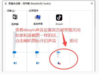 抖音网页版视频没有声音解决办法(图3)