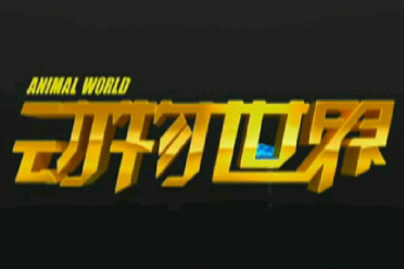 哪个节目你觉得最可惜？盘点央视至今已停播的节目