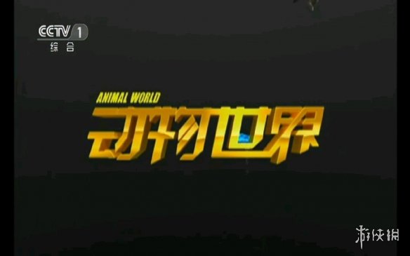 哪个节目你觉得最可惜？盘点央视至今已停播的节目(图1)