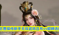 新三国志曹操传新手无双武将吕布vs貂蝉选择攻略