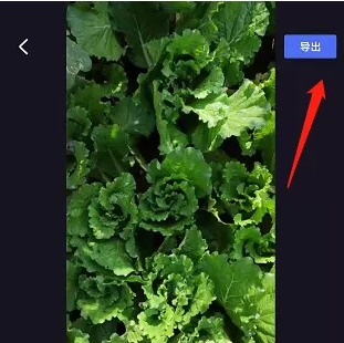 《度加剪辑》播放视频原声方法(图5)