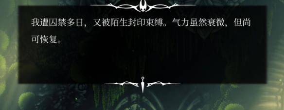 《空洞骑士：丝之歌》发售火爆却环国区好评？(图12)