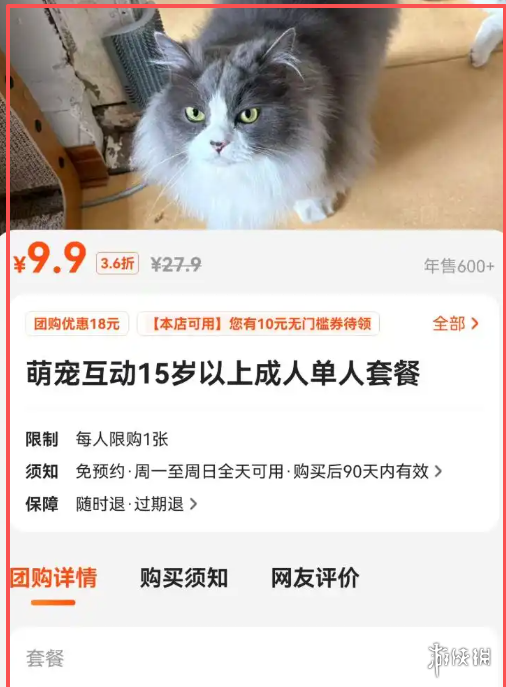 撸猫界的蜜雪冰城？青岛一家撸猫馆一天仅需9.9元(图1)