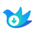 网页视频下载助手app