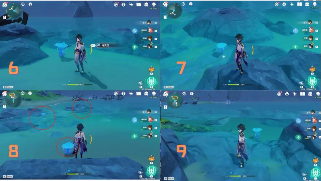 《原神》海灵芝采集路线是什么