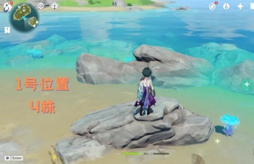 《原神》海灵芝采集路线是什么