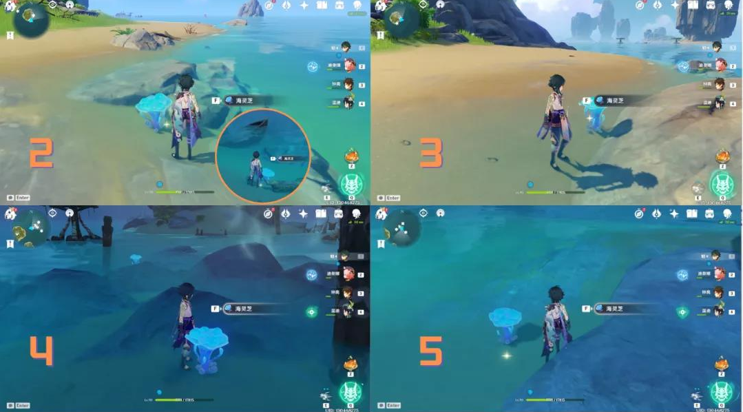 《原神》海灵芝采集路线是什么