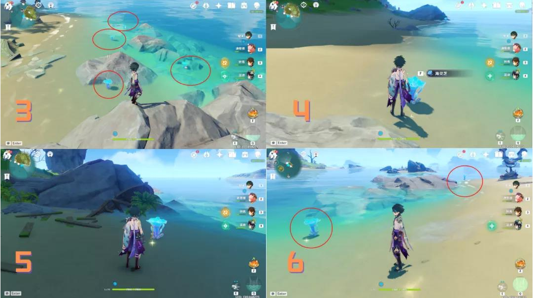 《原神》海灵芝采集路线是什么