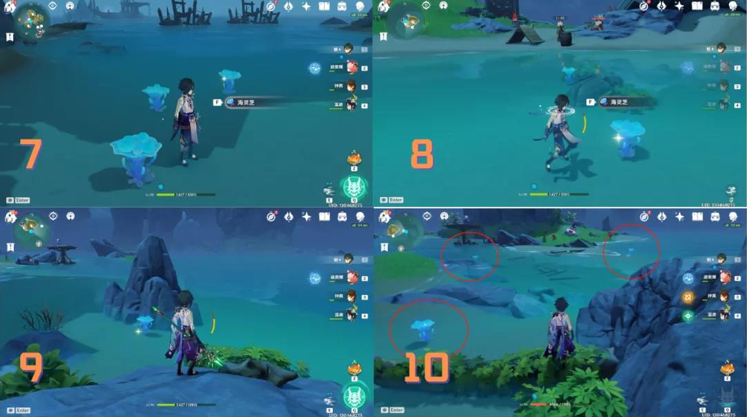 《原神》海灵芝采集路线是什么