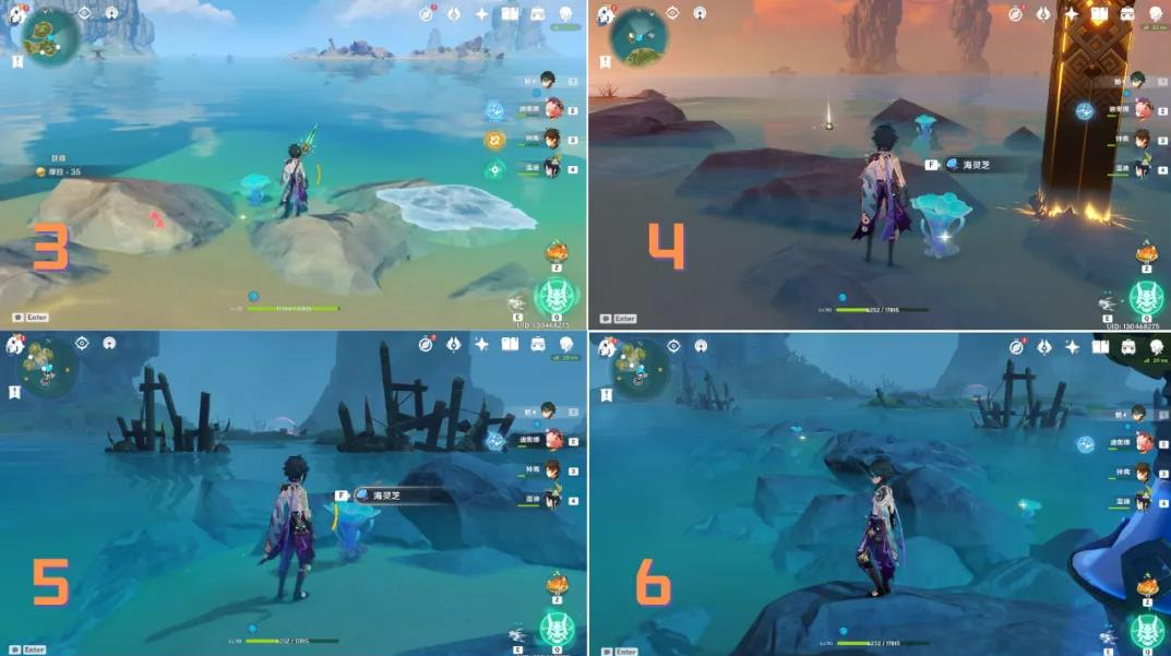 《原神》海灵芝采集路线是什么