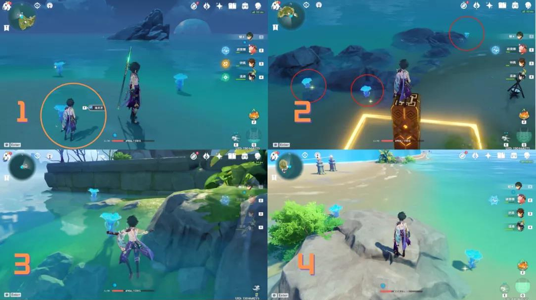 《原神》海灵芝采集路线是什么