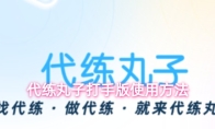 代练丸子打手版使用方法