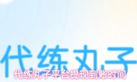 代练丸子平台提现到账时间
