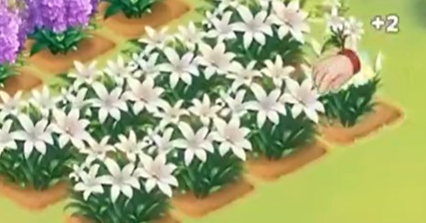 《我的花园世界》批量种花技巧(图3)