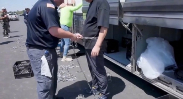 大批韩国人在美国被拴铁链带走！韩国媒体集体破防！(图1)