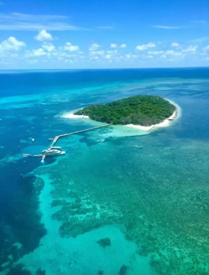 世界上最大的珊瑚礁群是什么？