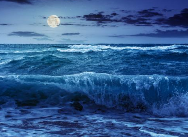 大海的潮起潮落主要受到哪一项因素的影响？