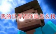 我的世界沼泽地怎么找