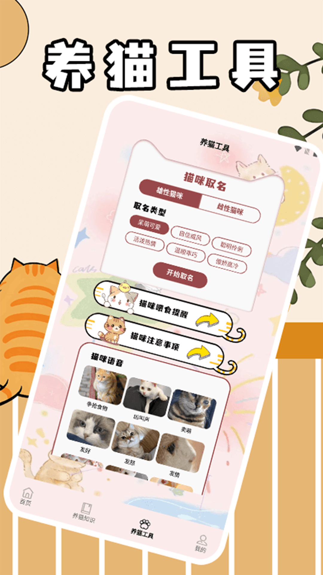 筑梦猫舍极速版(图1)