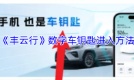 《丰云行》数字车钥匙进入方法