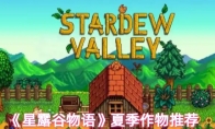 《星露谷物语》夏季作物推荐