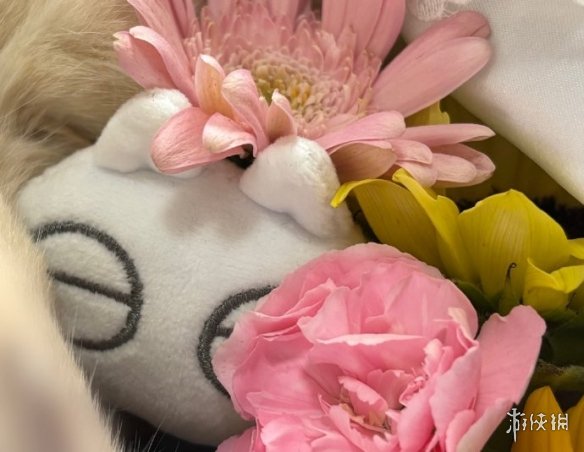 热门漫画表情包小豆泥原型去世 主人发长文感谢关注(图3)