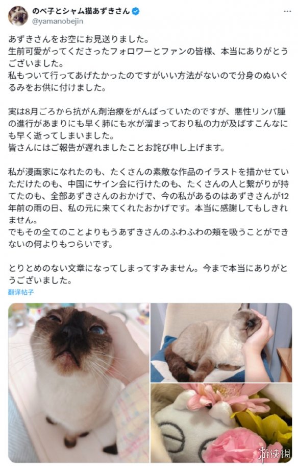 热门漫画表情包小豆泥原型去世 主人发长文感谢关注(图6)