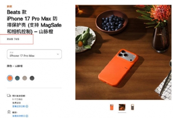 苹果479元斜挎挂绳、749元手机壳 价格(图3)