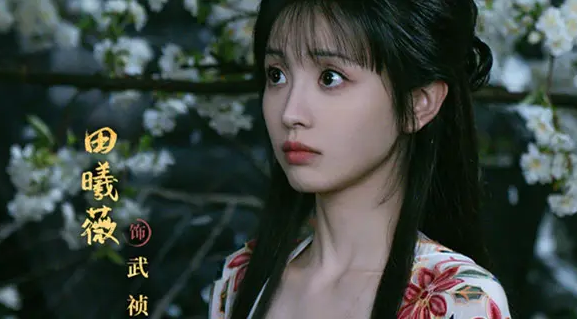 子夜归武祯恢复记忆了吗