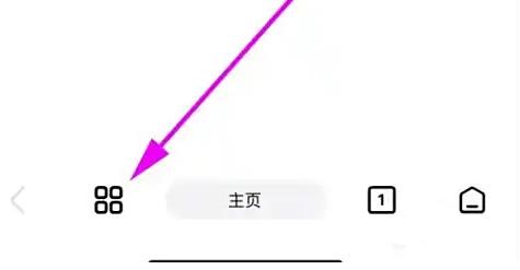 雨见浏览器32位