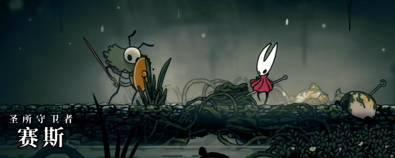 《空洞骑士：丝之歌》圣所守卫者赛斯解锁路线分享