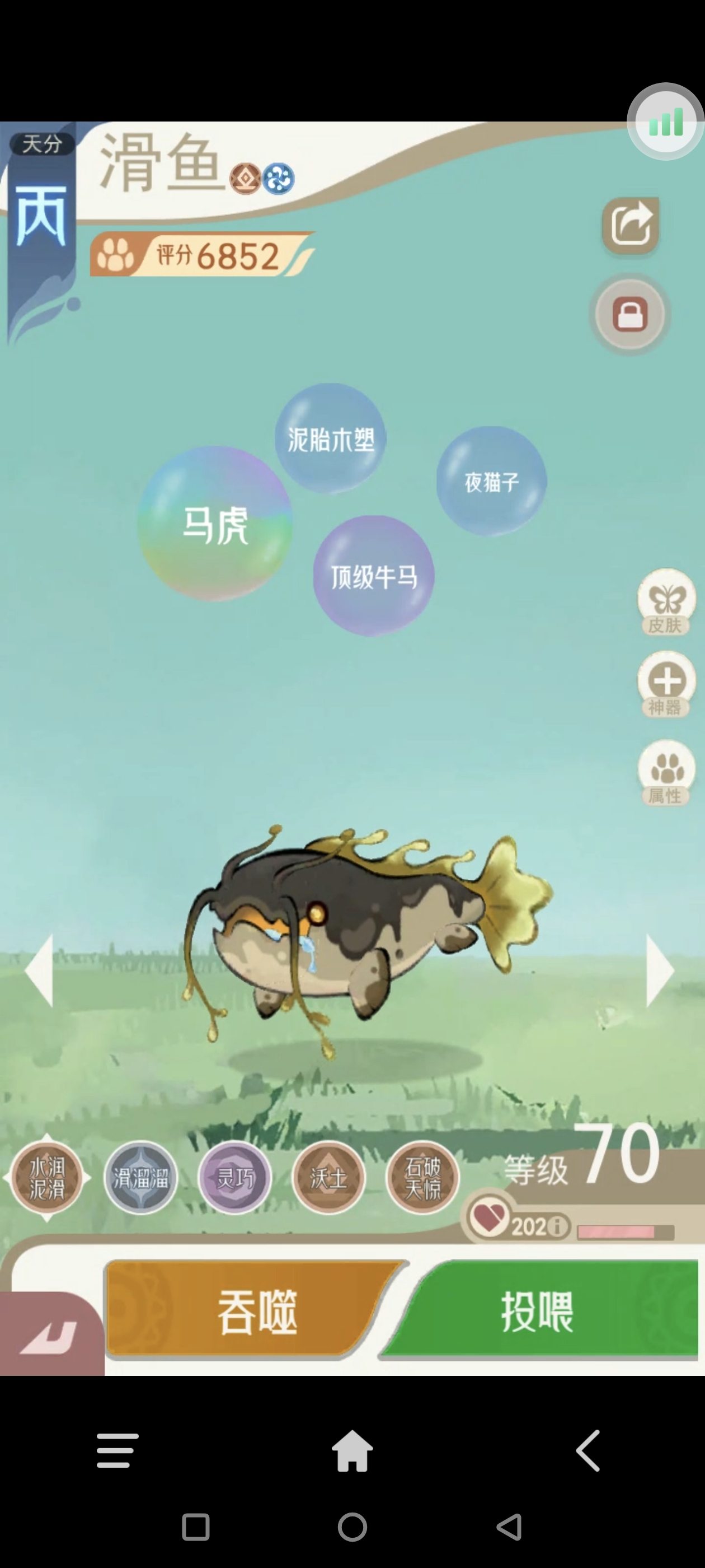 《山海进化录》全宠物技能配招推荐