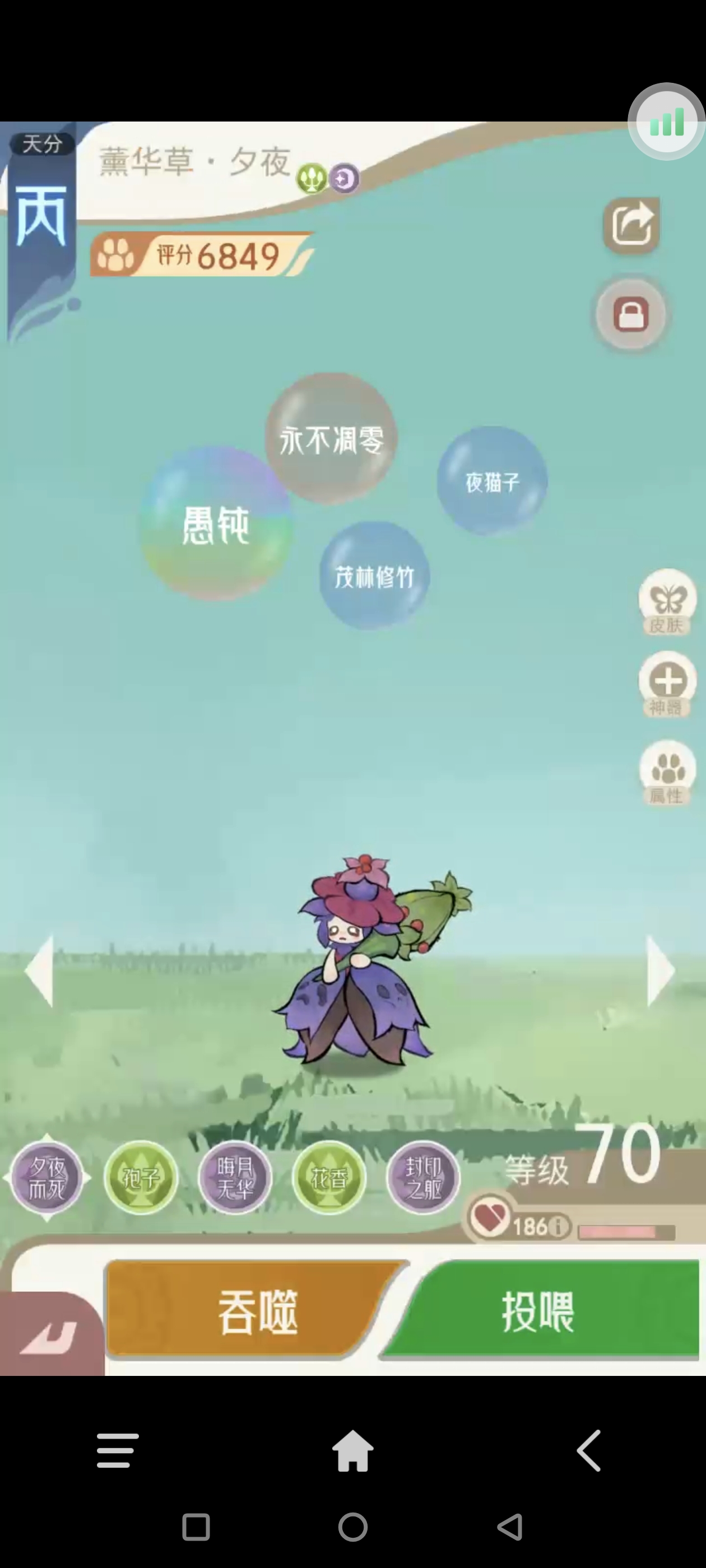 《山海进化录》全宠物技能配招推荐