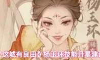 《这城有良田》杨玉环技能升星建议