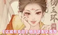 《这城有良田》杨玉环配队推荐