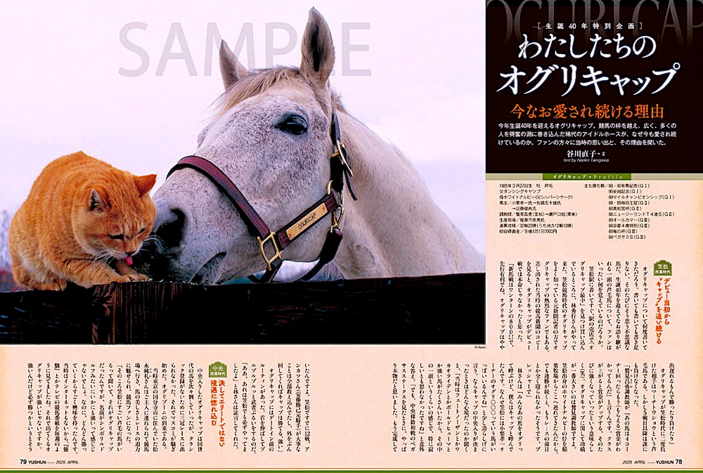 日媒回顾赛马娘小栗帽传奇：从地方马到国民偶像！