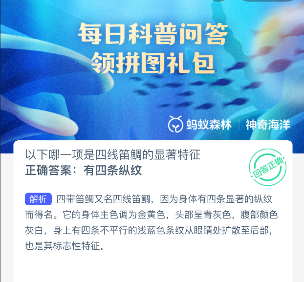 以下哪一项是四线笛鲷的显著特征