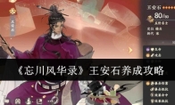 《忘川风华录》王安石养成攻略