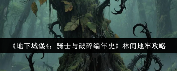 《地下城堡4：骑士与破碎编年史》林间地牢攻略