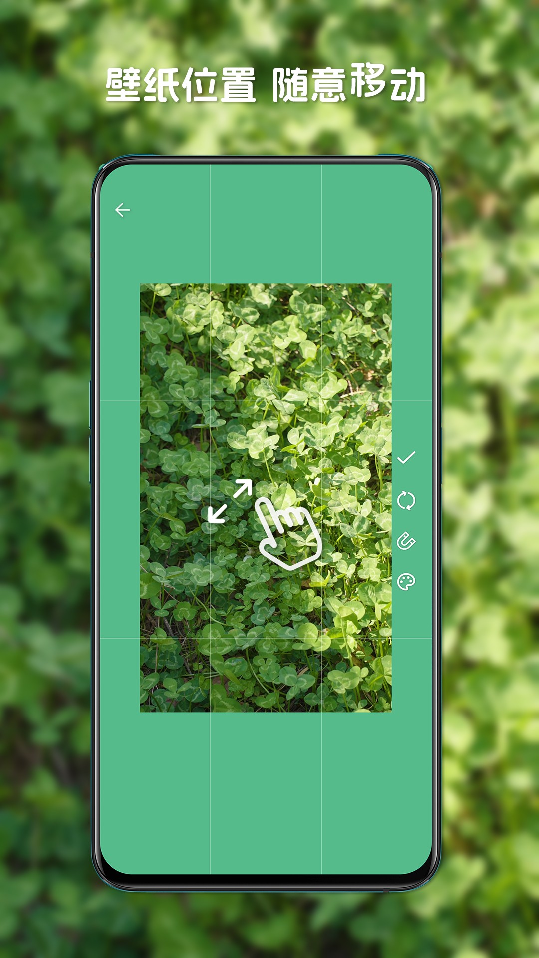 
星咩视频壁纸 官方正版