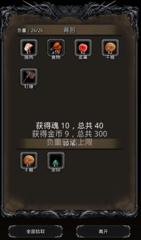 《地下城堡4：骑士与破碎编年史》背包扩容方法介绍(图5)