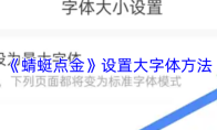 《蜻蜓点金》设置大字体方法