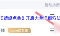 《蜻蜓点金》开启大单净额方法
