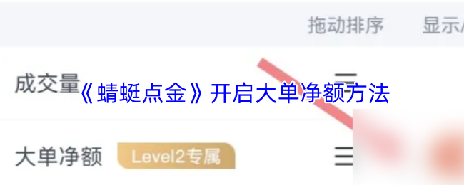 《蜻蜓点金》开启大单净额方法